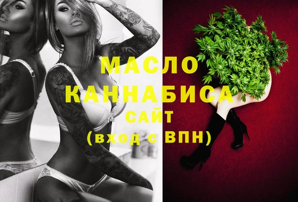 дмт Гусев