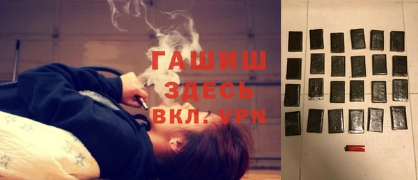 дмт Гусев