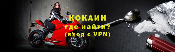 дмт Гусев