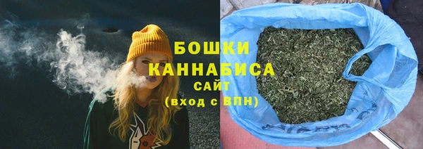 дмт Гусев