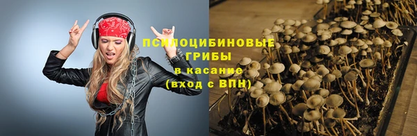mix Гусь-Хрустальный