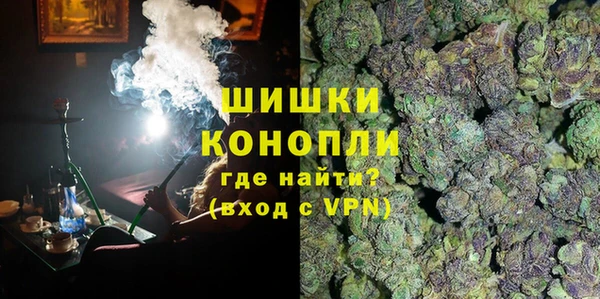 дмт Гусев